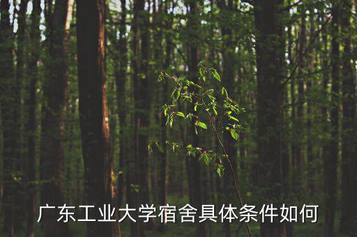 廣東工業(yè)大學宿舍具體條件如何