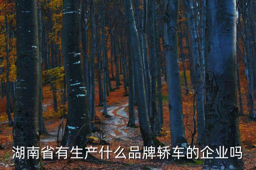 湖南省有生產什么品牌轎車的企業嗎