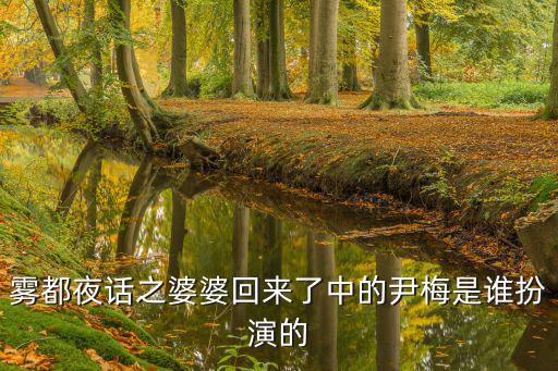霧都夜話之婆婆回來(lái)了中的尹梅是誰(shuí)扮演的
