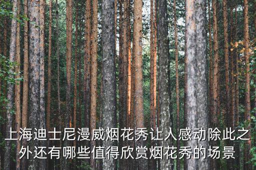 上海迪士尼漫威煙花秀讓人感動除此之外還有哪些值得欣賞煙花秀的場景