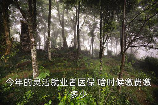 今年的靈活就業者醫保 啥時候繳費繳多少