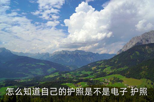 電子護照，現在辦理護照是不是都是電子護照