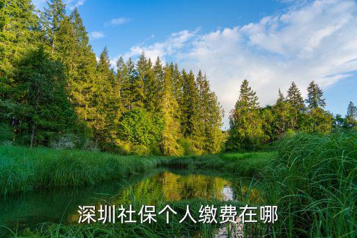 深圳社保個人繳費在哪