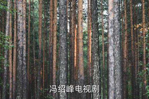 馮紹峰演的電視劇，馮紹峰電視劇