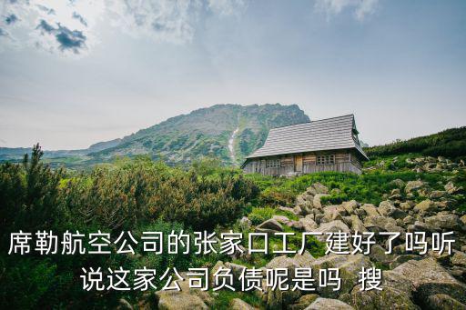 席勒航空公司的張家口工廠建好了嗎聽說這家公司負債呢是嗎  搜