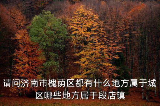 請(qǐng)問濟(jì)南市槐蔭區(qū)都有什么地方屬于城區(qū)哪些地方屬于段店鎮(zhèn)