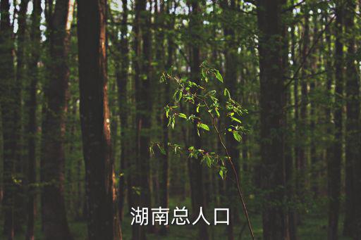湖南總人口