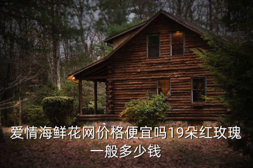 愛(ài)情海鮮花網(wǎng)價(jià)格便宜嗎19朵紅玫瑰一般多少錢(qián)