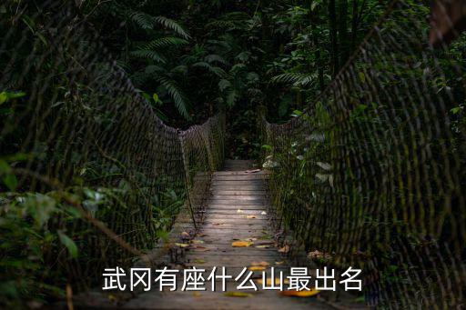 武岡有座什么山最出名