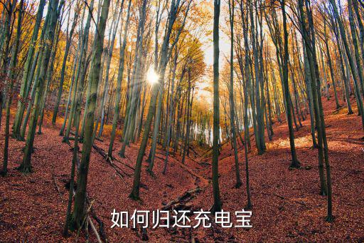 怎么還充電寶，充電寶怎樣歸還押金多久退還