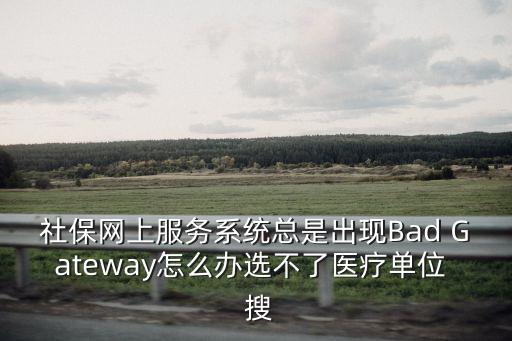 社保網上服務系統總是出現Bad Gateway怎么辦選不了醫療單位  搜