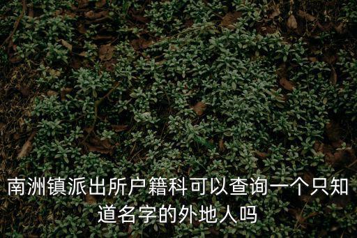 南洲鎮派出所戶籍科可以查詢一個只知道名字的外地人嗎