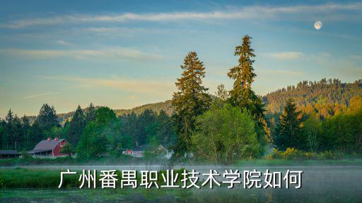 廣州番禺職業技術學院如何
