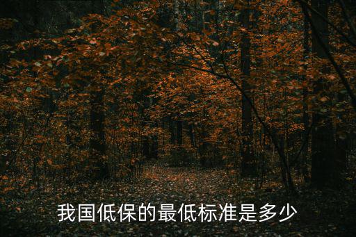 我國低保的最低標準是多少