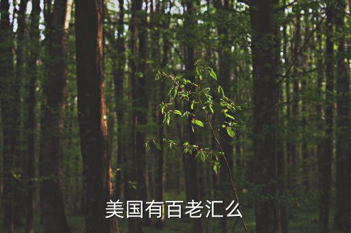 美國百老匯，美國有百老匯么