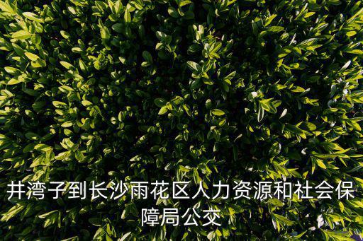 長沙人力資源和社會保障局，長沙市人力資源社會保障局和長沙市衛(wèi)生局 去上班的話哪個待遇好