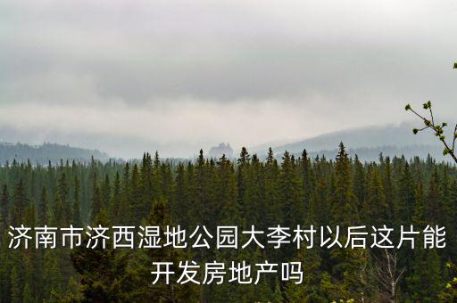 濟(jì)西濕地公園，濟(jì)南市濟(jì)西濕地公園大李村以后這片能開(kāi)發(fā)房地產(chǎn)嗎