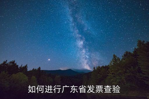 如何進(jìn)行廣東省發(fā)票查驗(yàn)