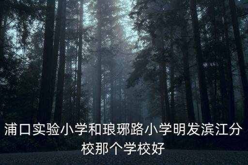 浦口實驗小學和瑯琊路小學明發濱江分校那個學校好