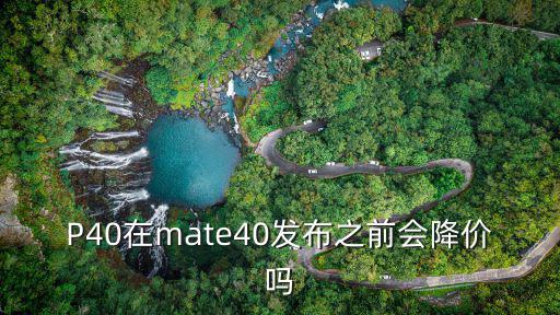 P40在mate40發(fā)布之前會降價嗎