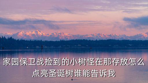 家園保衛戰撿到的小樹怪在那存放怎么點亮圣誕樹誰能告訴我