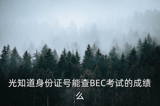 光知道身份證號能查BEC考試的成績么