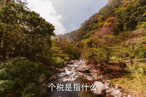 個稅是指什么