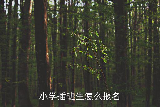 小學插班生怎么報名