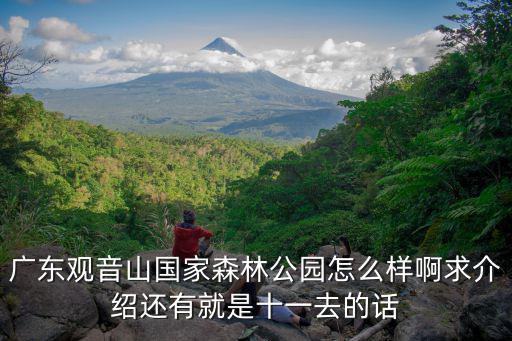 廣東觀音山國家森林公園怎么樣啊求介紹還有就是十一去的話
