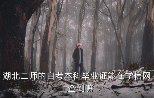 湖北二師的自考本科畢業證能在學信網上查到嘛