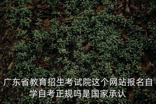 廣東省教育招生考試院這個網站報名自學自考正規嗎是國家承認