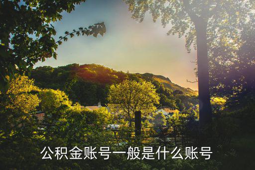 公積金賬號(hào)一般是什么賬號(hào)