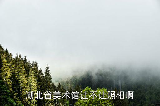 湖北省美術館讓不讓照相啊