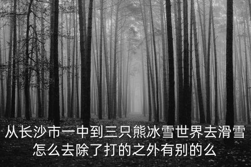 三只熊冰雪王國，從長沙市一中到三只熊冰雪世界去滑雪怎么去除了打的之外有別的么