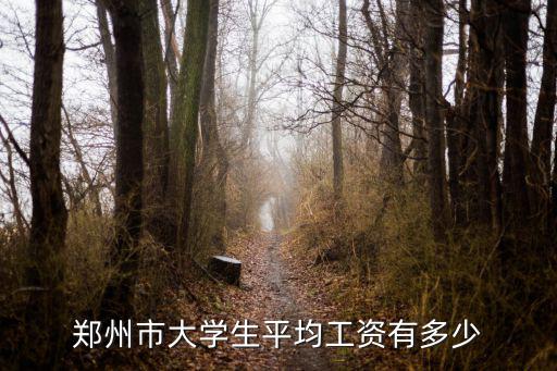大學(xué)生平均工資，鄭州市大學(xué)生平均工資有多少