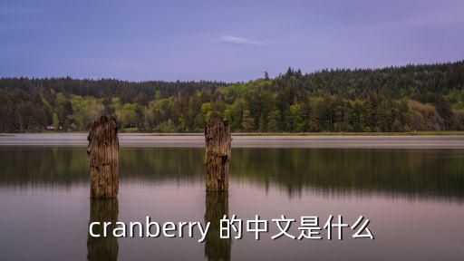 cranberry 的中文是什么