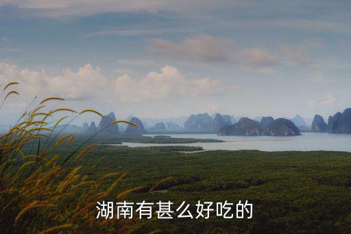 湖南有甚么好吃的