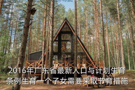 2016年廣東省最新人口與計劃生育條例生育一個子女需要采取節育措施