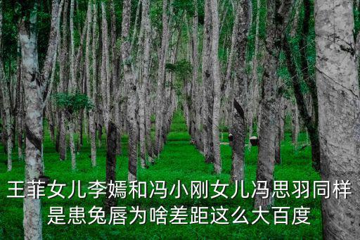 王菲女兒李嫣和馮小剛女兒馮思羽同樣是患兔唇為啥差距這么大百度
