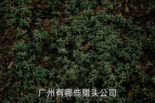 廣州有哪些獵頭公司