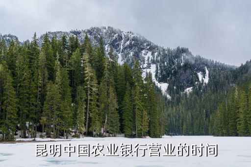 昆明中國農業銀行營業的時間