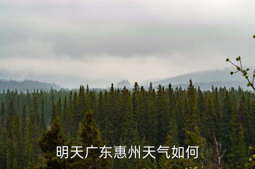 明天廣東惠州天氣如何