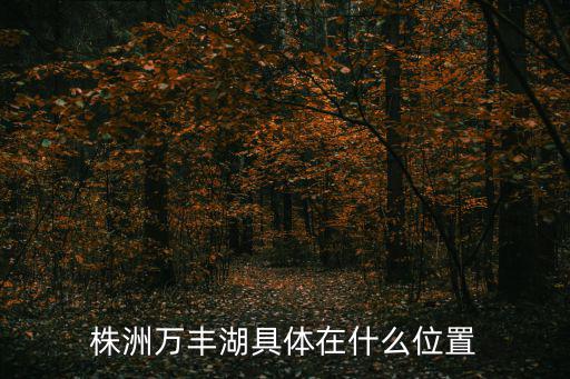 株洲萬豐湖具體在什么位置