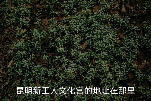 工人文化宮，昆明的新工人文化宮在哪建好了嗎