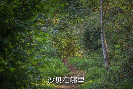 沙貝，沙貝在哪里