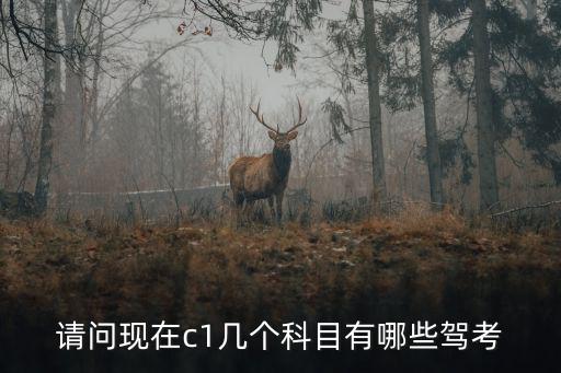 駕照考試科目，請問現在c1幾個科目有哪些駕考