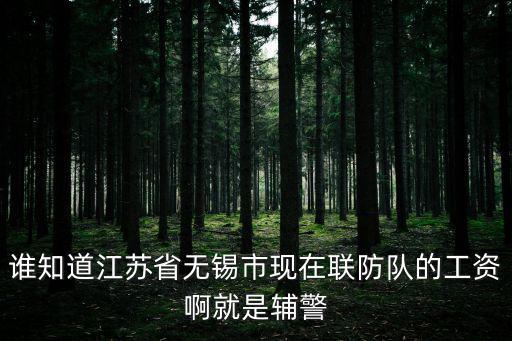 誰知道江蘇省無錫市現在聯防隊的工資啊就是輔警