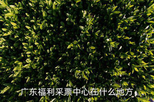 廣東福利采票中心在什么地方