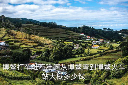 博鰲打車難不難啊從博鰲灣到博鰲火車站大概多少錢