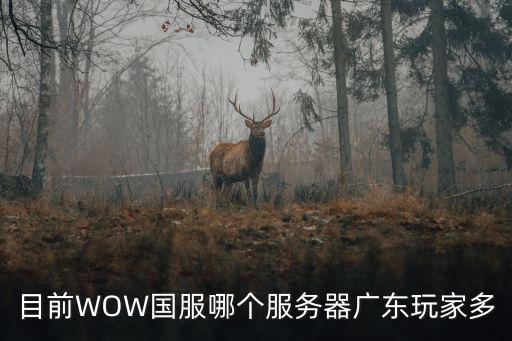 目前WOW國服哪個服務器廣東玩家多